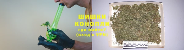 ГАЛЛЮЦИНОГЕННЫЕ ГРИБЫ Нефтекумск