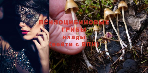 прущие грибы Нея