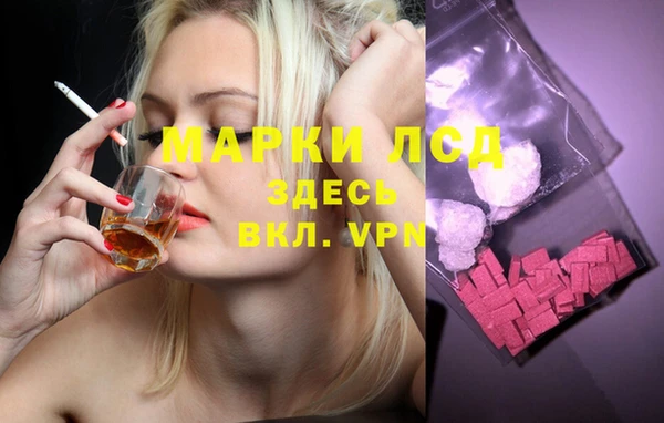 прущие грибы Нея