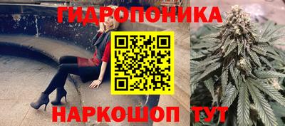 индика Балахна