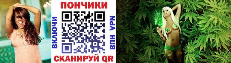купить наркотики сайты  Ишим  Каннабис план 